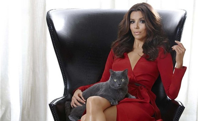   Eva Longoria